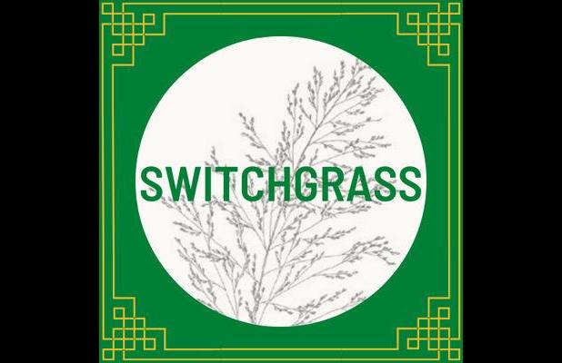 Art class for youth at Switchgrass