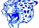 LINCOLN LEOPARDS