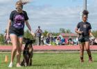 Historic event in Tescott, Kansas: Central Kansas Working Dogs hosts first-ever PSA trial in the state