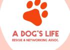 New organization created to help animals