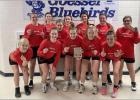 Sylvan-Lucas Unified High School girls’ junior varsity basketball team bring home the gold